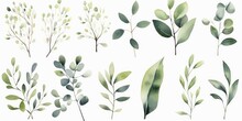 Watercolour Floral Illustration Set. Green Leaves, Green Branches Collection, Eucalyptus, Olive. For Wedding Invitations, Anniversary, Birthday, Prints, Generative AI