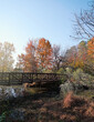 Greenway walking path bridge at Lake Raleigh with colorful Fall foliage