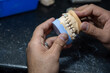 Dental gypsum models in dental laboratory with single tooth crown to be tested for Teeth occlude correctly