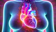 closeup in human heart body background. Science microbiology concept. virus outbreak
