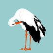 Washing body by beak elegant stork vector illustration isolated on blue background. Visitant migration bird stork cleaning feathers and wings. Water echo system. Animal bird hygiene.