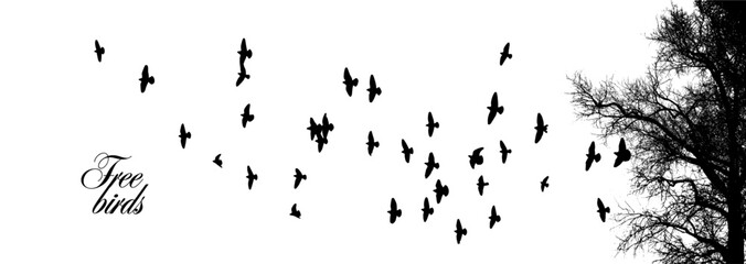 silhouette of birds flying from the trees. vector illustration. art design, wall decor isolated on w
