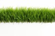 Bermuda Grass on a white background with space for naming and branding.