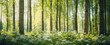 © yj - a tranquil and beautiful forest. wood, tree. generative AI