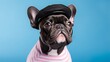 Creative close up portrait of a cute French bulldog wearing trendy french beret hat and pink stripe top or mariniere sweater. Minimal humorous  concept of fashion. Background with copy space