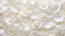 Beautiful White Rose Petals As Background, Top View