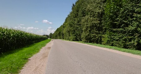 Wall Mural - narrow paved road in summer, paved road in sunny weather