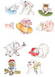 Bear elephant pig animal friends illustrations drawing water color