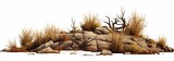 Fototapeta  - desert scene cutout, dry plants with rocks isolated on white background banner, Generative AI