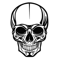 Skull png clipart vector