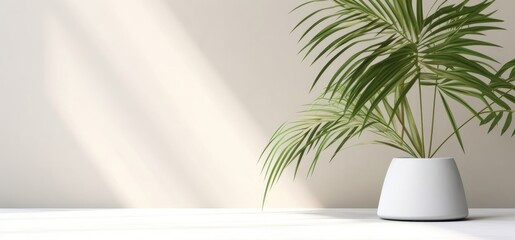 Wall Mural - Modern minimal empty white marble stone counter table top, palm tree in sunlight, leaf shadow on concrete wall background for luxury organic cosmetic, Generative AI