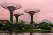gardern by the bay at sunrise.
view of the garden by the bay with supertree and Cloud Dome and Forest Dome in the background. singapore