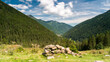 panorama of Alps in summer.
panorama of Alps in Italt. sunny afternoon. . grassy field and high mountains. rural scenery