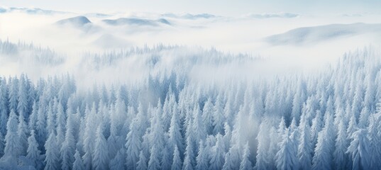 Wall Mural - Panoramic view of an icy and snowy forest landscape in winter.