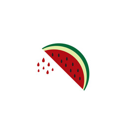 Wall Mural - watermelon fruit logo icon design vector illustration