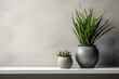 plant in a vase on the table on gray wall