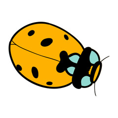 Wall Mural - Yellow Ladybug