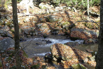 River during Fall - Great Smoky Mountains
