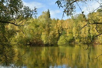 Wall Mural - La végétation sauvage et bucolique d'automne se reflétant dans les eaux de l'étang au domaine du château de la Hulpe 