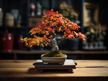 Bonsai With Autumn Foliage, Red And Yellow Leaves, Rustic Wooden Background, Soft Ambient Light, Medium Depth Of Field,