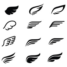 	
Set Of Silhouettes Of Wings, Frame Wings Vector Set, Angle Wing Set	
