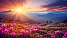 Beautiful fall scenery with pink blossoms in the mountains. Sunrise.