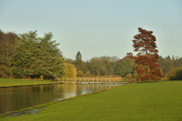 Wall Mural - Le canal reliant les pièces d'eau vers la passerelle et l'arbre à feuillage pourpre en fin de journée d'automne au parc de Tervuren à l'est de Bruxelles 