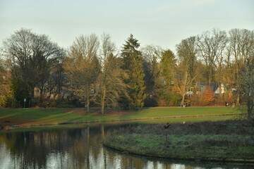 Wall Mural - Les arbres sous le coucher de soleil le long d'un des étangs du parc de Tervuren à l'est de Bruxelles 