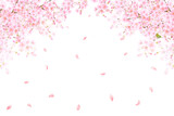 Fototapeta Na ścianę - 美しい薄いピンク色の桜の花と花びら春の水彩白バックフレーム背景素材イラスト