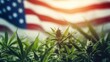 USA American flag with hemp leaf background. Cannabis legalization in united states of America concept. Legal medical hemp plant marijuana.