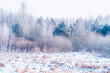Landscapes. Frozen winter forest with snow covered trees.
