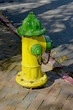 Yellow and green painted fire hydrant in Annapolis MD