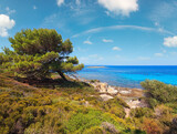 Fototapeta Krajobraz - Aegean sea coast landscape, view near Karidi beach (Chalkidiki, Greece).