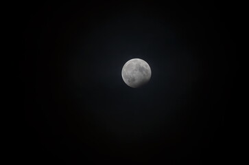 photo of moon at night