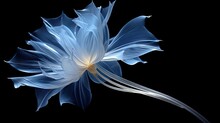  A Blue Flower On A Black Background With A White Stamen In The Middle Of The Petals And A Yellow Stamen In The Middle Of The Petals.