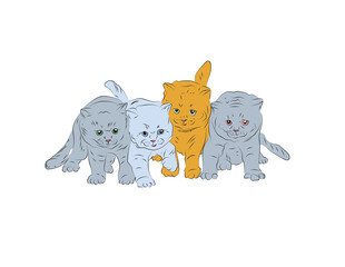 cute cats on white background