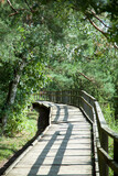Fototapeta Do pokoju - Valley of Junipers Wooden Path In Lithuania