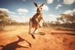 kangaroo in the australian outback looking to camera