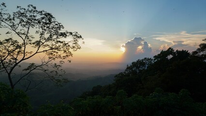 Canvas Print - Silhouette of green lush trees in the countryside at sunset