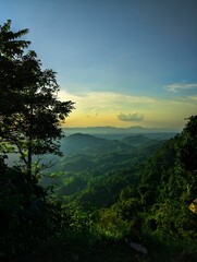 Canvas Print - Landscape view of the green lush trees in the countryside at sunset