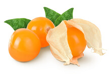 Cape Gooseberry Or Physalis Isolated On White Background Wit Full Depth Of Field