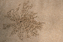 Radial Pattern In The Sand. Crab Patterns In The Sand In Thailand. Looking For Food And Crawling Back