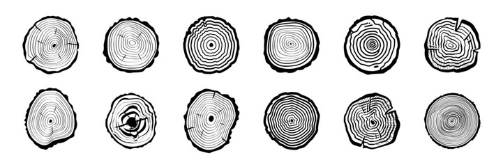 Wood Tree Rings Vector Set. Wood Tree Trunk Rings