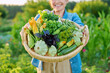 © Valerii Honcharuk - Close-up basket with green vegetables and herbs in hands of woman, on farm