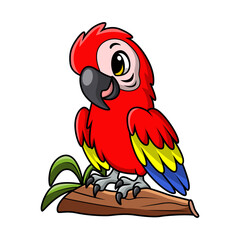 Wall Mural - Cute macaw bird cartoon on white background