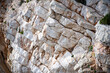 Sedimentary Limestone Layers - Sardinia - Italy