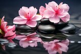 Fototapeta Kwiaty - Pink spa flowers hot stones on water dark background