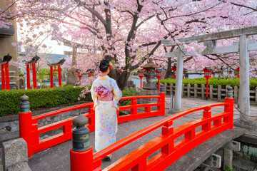 Canvas Print - Young Japanese woman in traditional Kimono dress at Rokusonno shrine with beautiful full bloom cherry blossom in spring