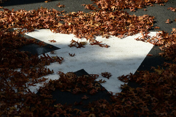 Wall Mural - Turn lane arrow  sign almost completely covered by fallen  oak leaves