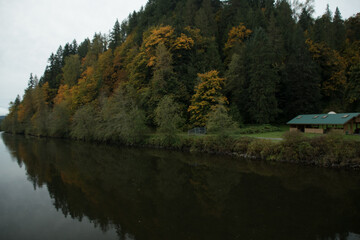 Wall Mural - Snoqualmie river banks during fall season near Tolt bridge - 4